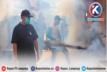 Kupas Tuntas Kasus Dbd Terjadi Di Lampung Barat Pemukiman Padat Penduduk Di Fogging