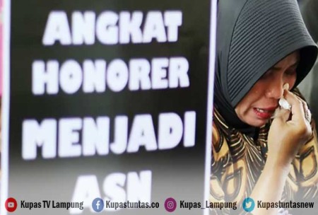 Kupas Tuntas Honorer Bisa Diangkat Jadi Pppk Melalui Uu Asn Begini