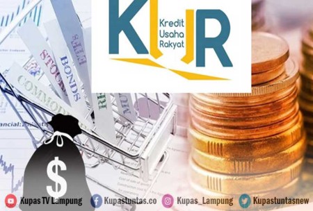 Kupas Tuntas Penyaluran KUR Di Lampung Hingga April 2024 Capai Rp 2