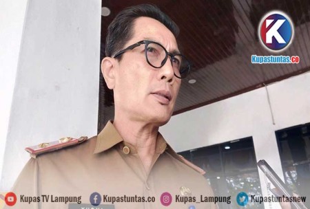 Kupas Tuntas Realisasi Investasi Lampung Urutan Ke Tujuh Di Pulau