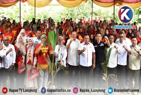 Kupas Tuntas - Sudin: Produksi Komoditas Pertanian Unggulan Lampung ...