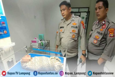 Kupas Tuntas Warga Rajabasa Digegerkan Penemuan Bayi Perempuan Dalam