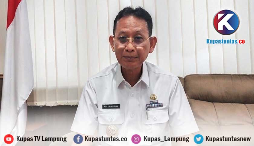 Kupas Tuntas PAD Pemprov Lampung Hingga Juli 2023 Terealisasi Rp 2 16