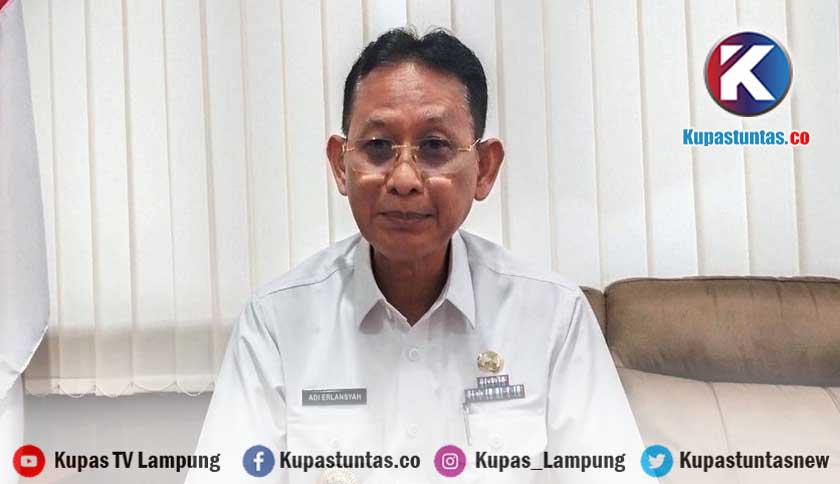 Kupas Tuntas Pemprov Lampung Targetkan Penarikan Pajak Alat Berat