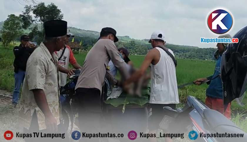 Kupas Tuntas Warga Desa Purwo Kencono Lamtim Digegerkan Penemuan