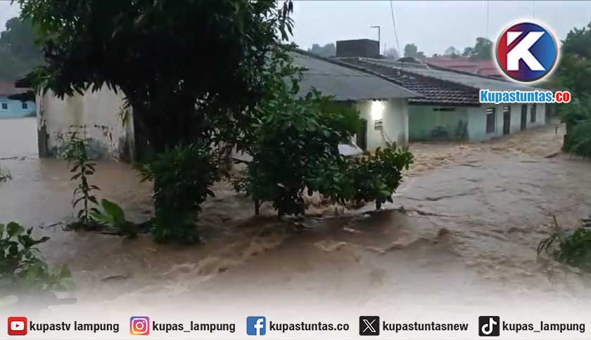 Kupas Tuntas Bandar Lampung Pesawaran Dan Lamsel Terendam Banjir