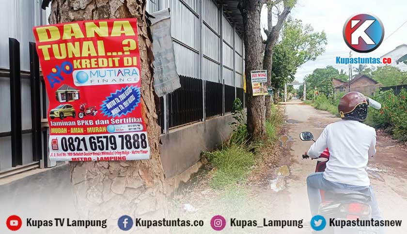 Kupas Tuntas - Banner Iklan Bertebaran di Pohon Jalan Kaca Piring
