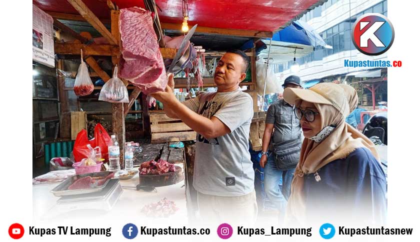 Ilustrasi harga daging sapi