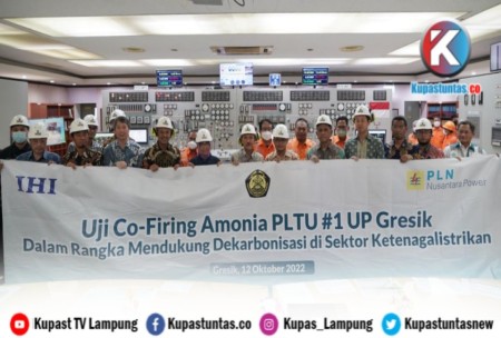 Kupas Tuntas - 8 Upaya PLN Kurangi Emisi Karbon Bakal Dipamerkan Dalam ...