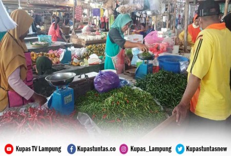 Kupas Tuntas - Harga Cabai Caplak Di Pringsewu Makin Pedas! Kini Tembus ...