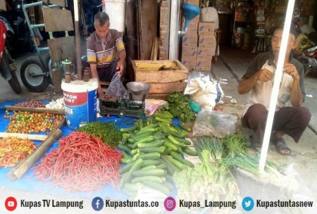 Kupas Tuntas Harga Dua Komoditas Pangan Di Metro Mulai Naik