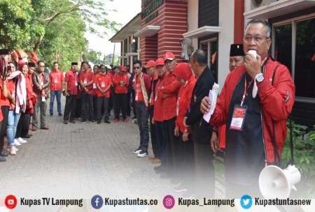 Kupas Tuntas Hut Ke Sebanyak Kader Pdi Perjuangan Lampung