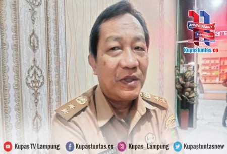 Kupas Tuntas Jagung Di Lampung Mahal Dan Langka Kusnardi Jagung Kita Banyak Dikirim Ke Pulau