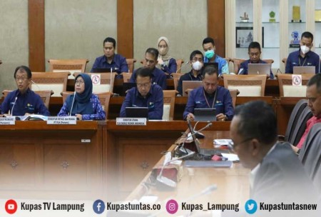 Kupas Tuntas Komisi Vi Dpr Apresiasi Pln Siapkan Listrik Masa Mudik