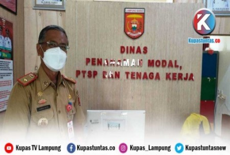 Kupas Tuntas - Permudah Layanan, DPMPTSP Lambar Maksimalkan Sistem ...