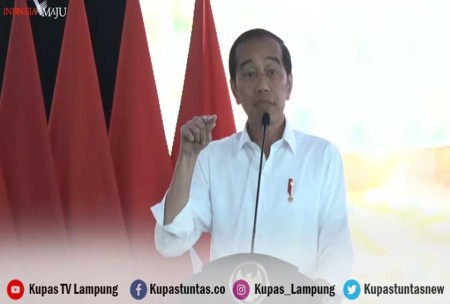 Kupas Tuntas - Presiden Jokowi Janji Tambah Alokasi Subsidi Pupuk Rp 14 ...