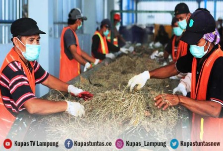 Kupas Tuntas - Tingkatkan Tata Kelola, PLN Sukses Turunkan Tingkat ...