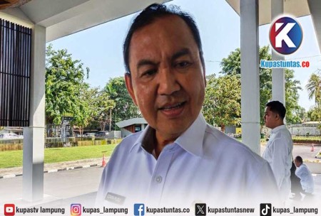 Warning! A total of 7,329 Lampung residents were infected with dengue fever