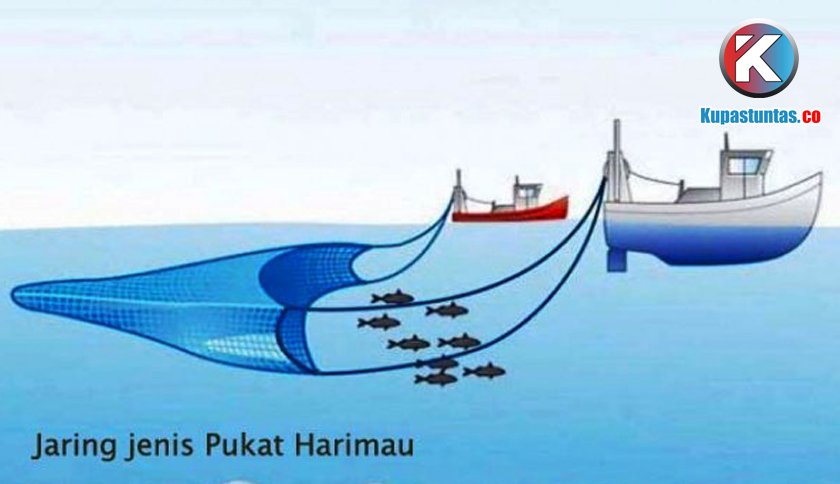 Kupas Tuntas Nelayan Tanggamus Pergoki Kapal Pukat Harimau Tangkap