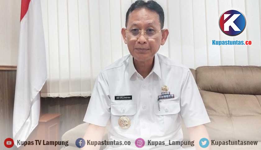 Kupas Tuntas - Realisasi Pajak Daerah Pemprov Lampung Capai 2,9 Triliun ...