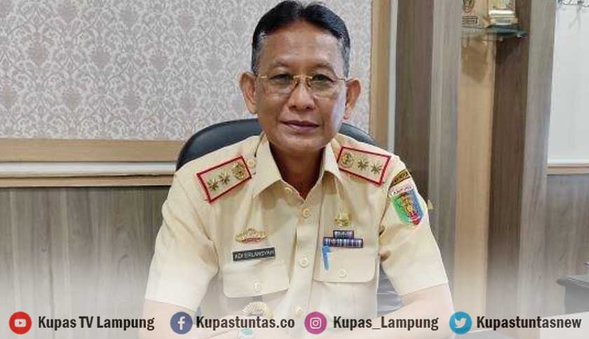 Kupas Tuntas - Sejak Jabat Pj Bupati Pringsewu 2022, Harta Kekayaan Adi ...