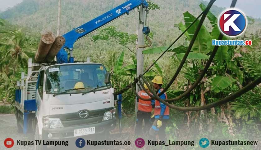 Kupas Tuntas Siap Hadapi Musim Hujan Berikut Tips Dari Pln Agar Tetap Nyaman Dan Aman