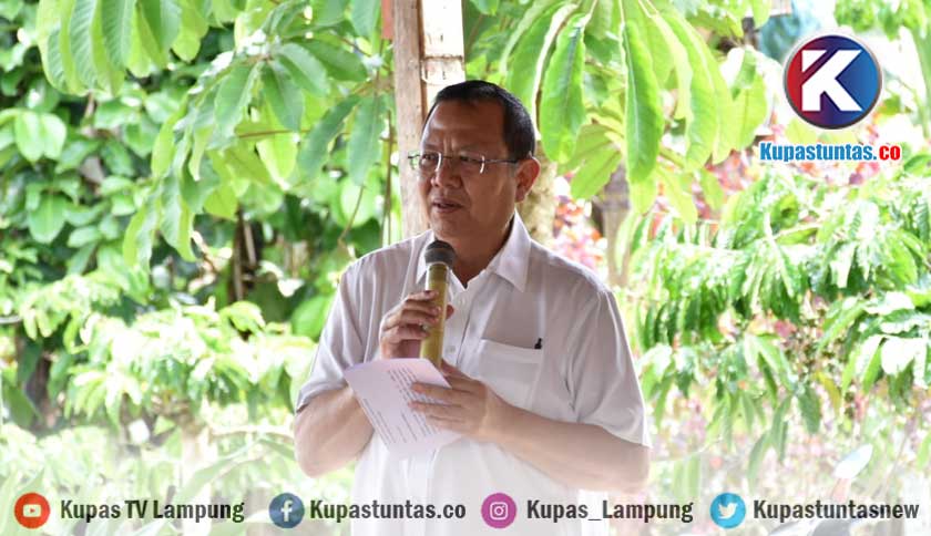 Kupas Tuntas Sudin Cita Rasa Kopi Lampung Terbaik Di Dunia